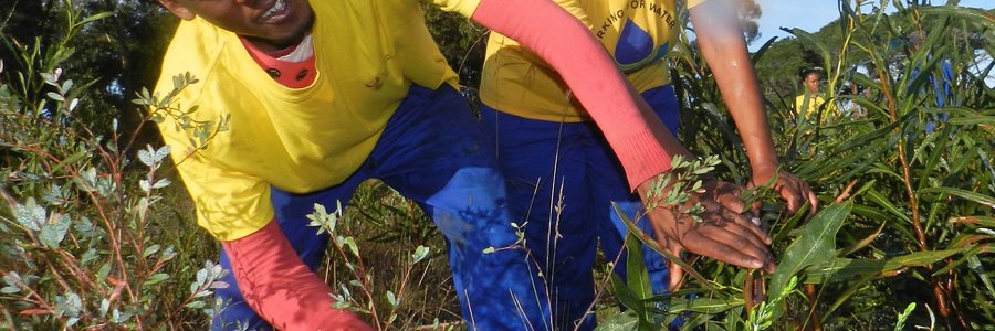 ABI Alien clearing new7